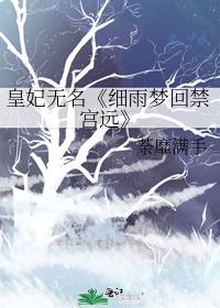 皇妃无名《细雨梦回禁宫远》